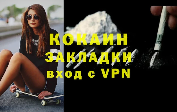 дмт Няндома