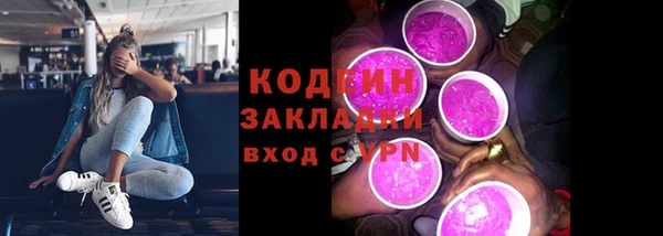 гидра Богородск
