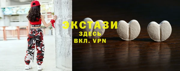 гидра Богородск