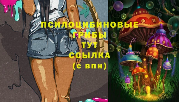 apvp Нязепетровск
