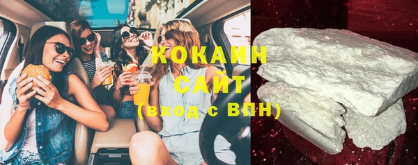 сатива Богданович