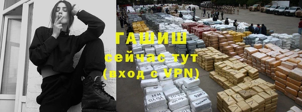 гидра Богородск